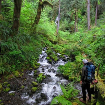 Los recorridos por Forks permiten conocer los paisajes naturales en donde se grabaron escenas de Crepúsculo