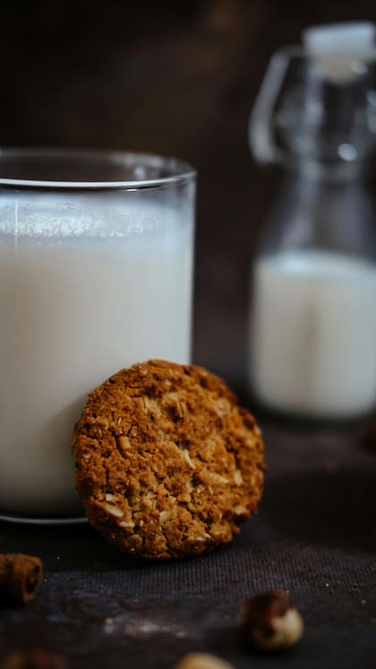 Los redondos de avena son ideales para comer después del gimnasio o de hacer un ejercicio de alto rendimiento, ya que aportan los nutrientes necesarios para fortalecer los músculos (Imagen ilustrativa)