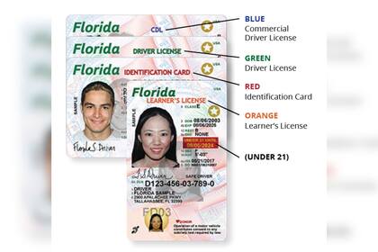 Los requisitos para obtener la licencia de conducir en Florida