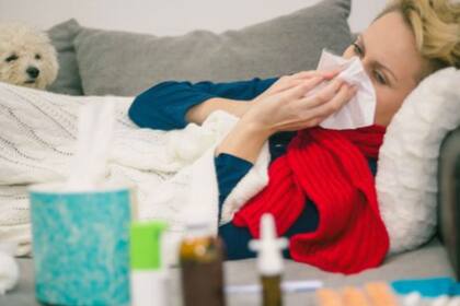 Los resfriados y la gripe podrían sentirse más ligeros gracias a algunos remedios caseros