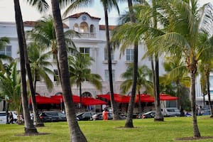 Los residentes de algunas ciudades de Florida pueden apreciar un peculiar efecto de la temporada de frío en los jardines