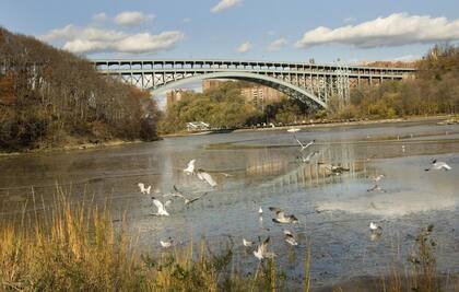 Los residentes del Bronx que atraviesen el puente Henry Hudson tendrán un reembolso
