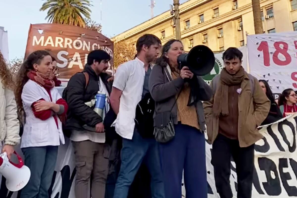 Los residentes del Hospital Garrahan, durante una conferencia la semana pasada