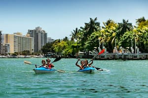 Los residentes y visitantes de Miami deben considerar algunos parámetros para poder disfrutar de las atracciones en la ciudad