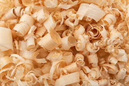 Los residuos de madera (aserrín o viruta), especialmente de álamo y pino, sin tratamiento de amonificación, se pueden utilizar como reemplazo de parte de la fibra en las dietas de rumiantes, entre el 15 al 30% de materia seca de la dieta