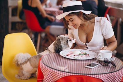 Los restaurantes pueden rechazar perros que sean agresivos o representen un riesgo