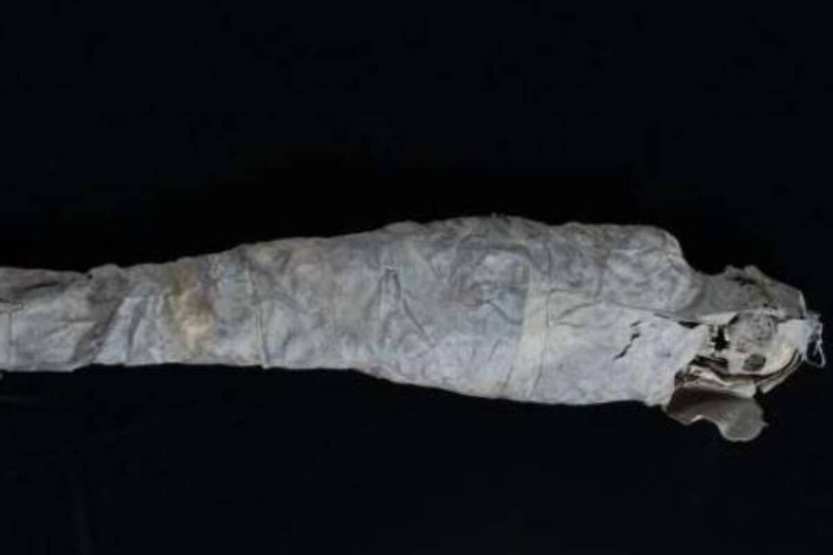 Los restos analizados corresponden a la civilización guanche y junto a ellos hallaron tibias, fémures, cúbitos y hasta un diente perforado correspondientes a otros individuos