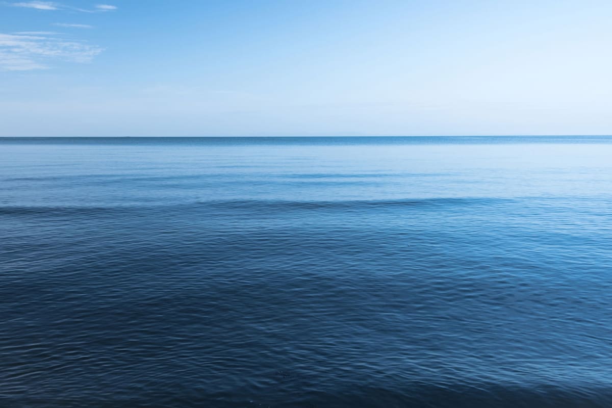 Los restos del objeto interestelar IM1 se hallaron en el Océano Pacífico (Foto: Google)