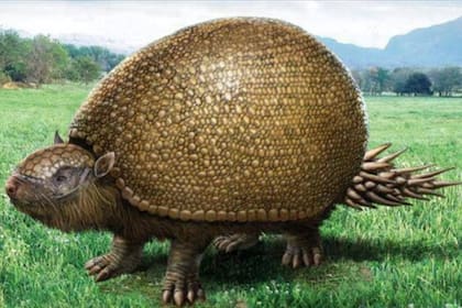 Los restos fósiles pertenecen a gliptodontes y antepasados prehistóricos del elefante y el caballo, que habitaron hace más de 10 mil años