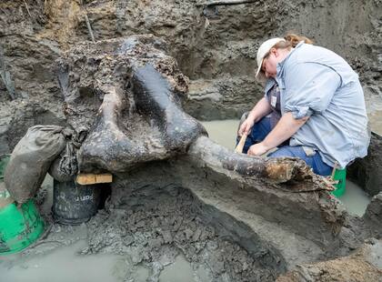 Los restos irán al Museo Prairie Trails de Corydon una vez terminada la investigación