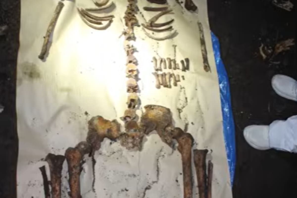 Los restos óseos de Diego Fernández Lima recolectados por la División Criminalística de la Policía