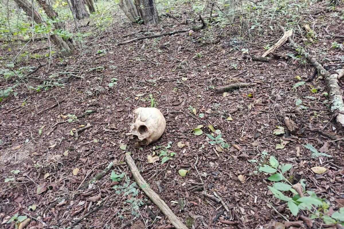 Los restos óseos encontrados en El Bordo, Salta
