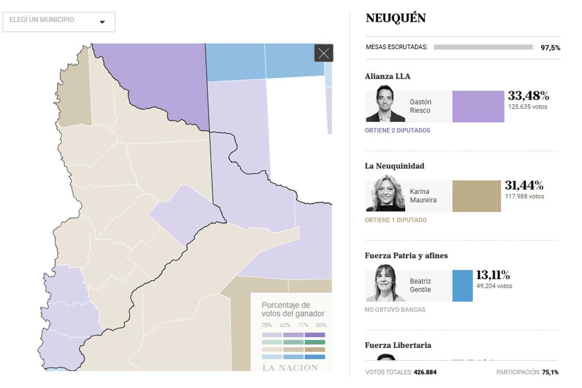 Los resultados de las Elecciones 2025 en la provincia de Neuquén