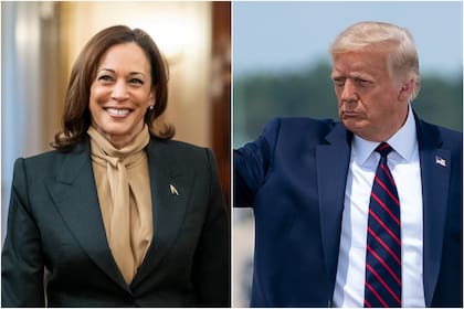 Los resultados de las últimas encuestas nacionales le dan una ventaja a Kamala Harris, pero destacan puntos importantes a favor de Donald Trump.