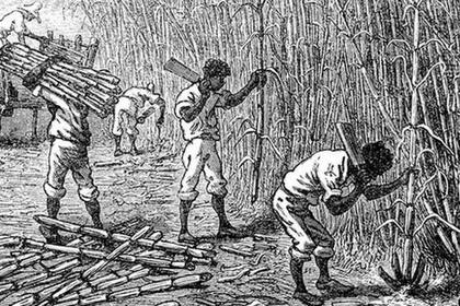 Los resultados del estudio fueron publicados ayer en la revista Science