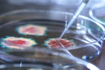 Los resultados se basan en más de 3 millones de personas analizadas.