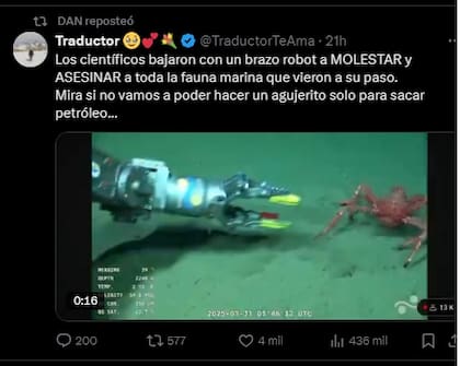 Los retuits de Daniel Parisini, "Gordo Dan"