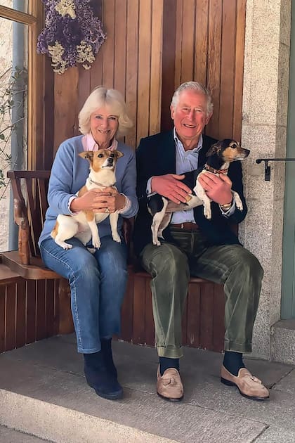 Los reyes Camilla y Carlos con Bluebell y Beth, sus Jack Russell terriers que parecen haber inspirado el logo de Royal Dog Treats, la línea real de galletitas para mascotas