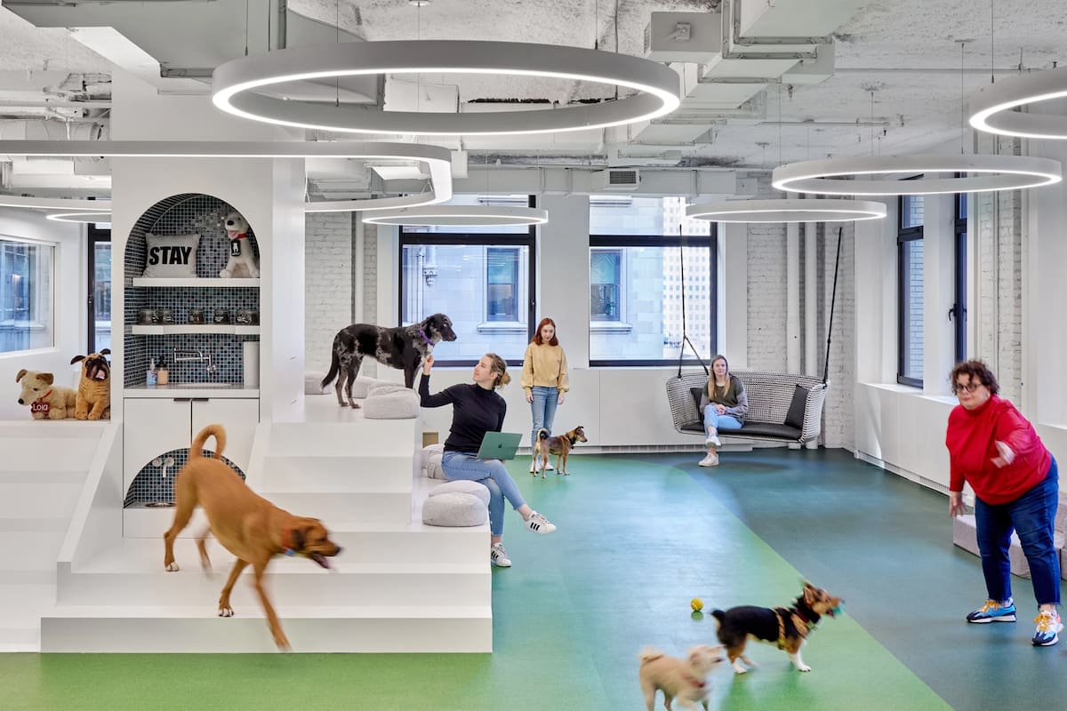 Los rincones para sentarse y un área de juegos interior son algunas de las características de esta oficina pet friendly