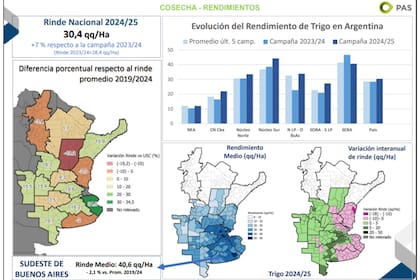 Los rindes de la producción de trigo promedio a nivel nacional