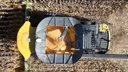 Los rindes superaron un 8,3% a los del año pasado