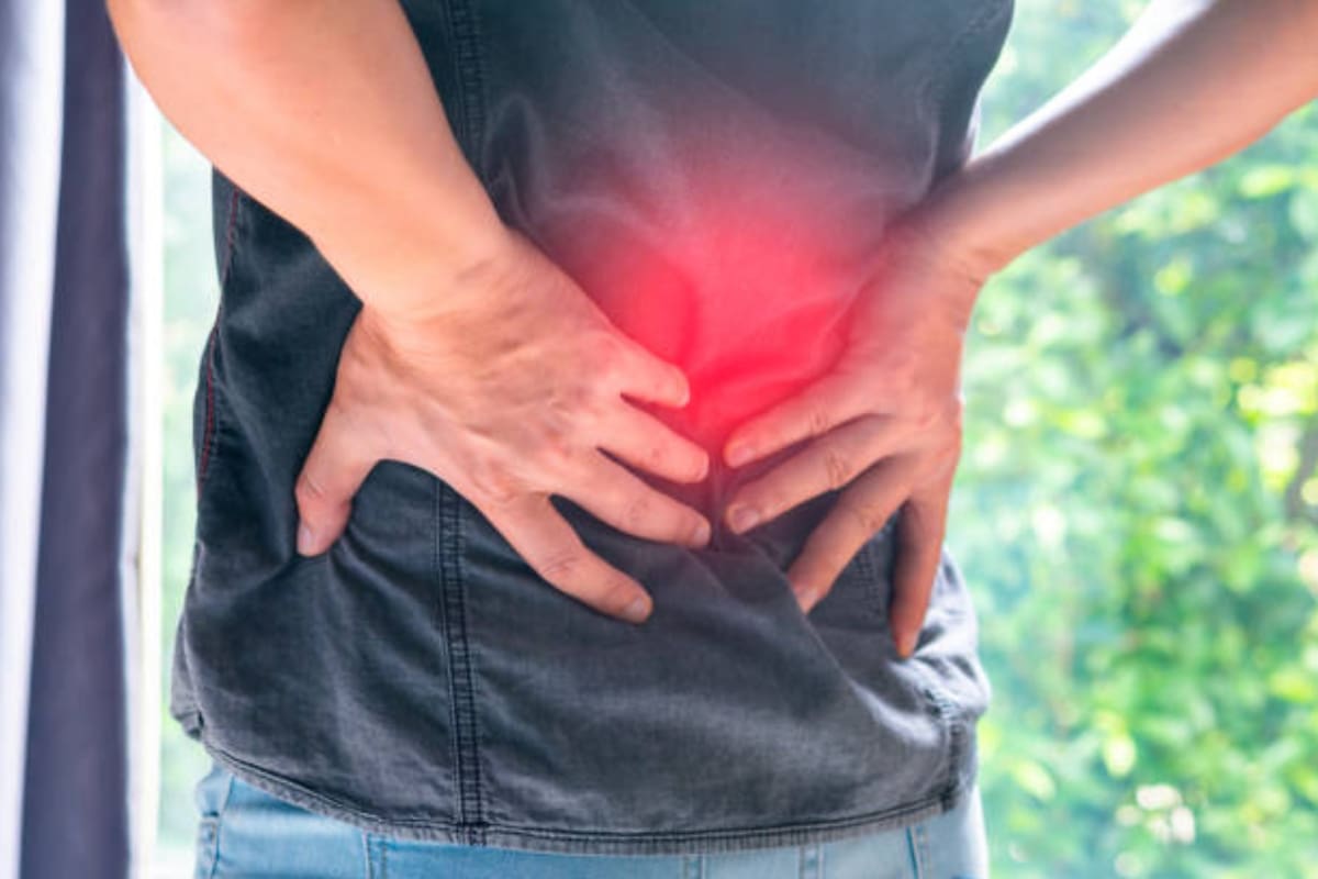 Los riñones desempeñan un papel clave en los procesos de purificación y equilibrio internos del cuerpo