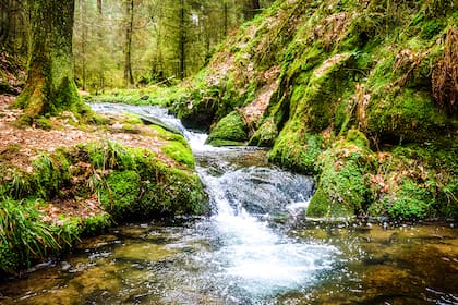 Los ríos, protagonistas de una antología poética publicada por una editorial entrerriana