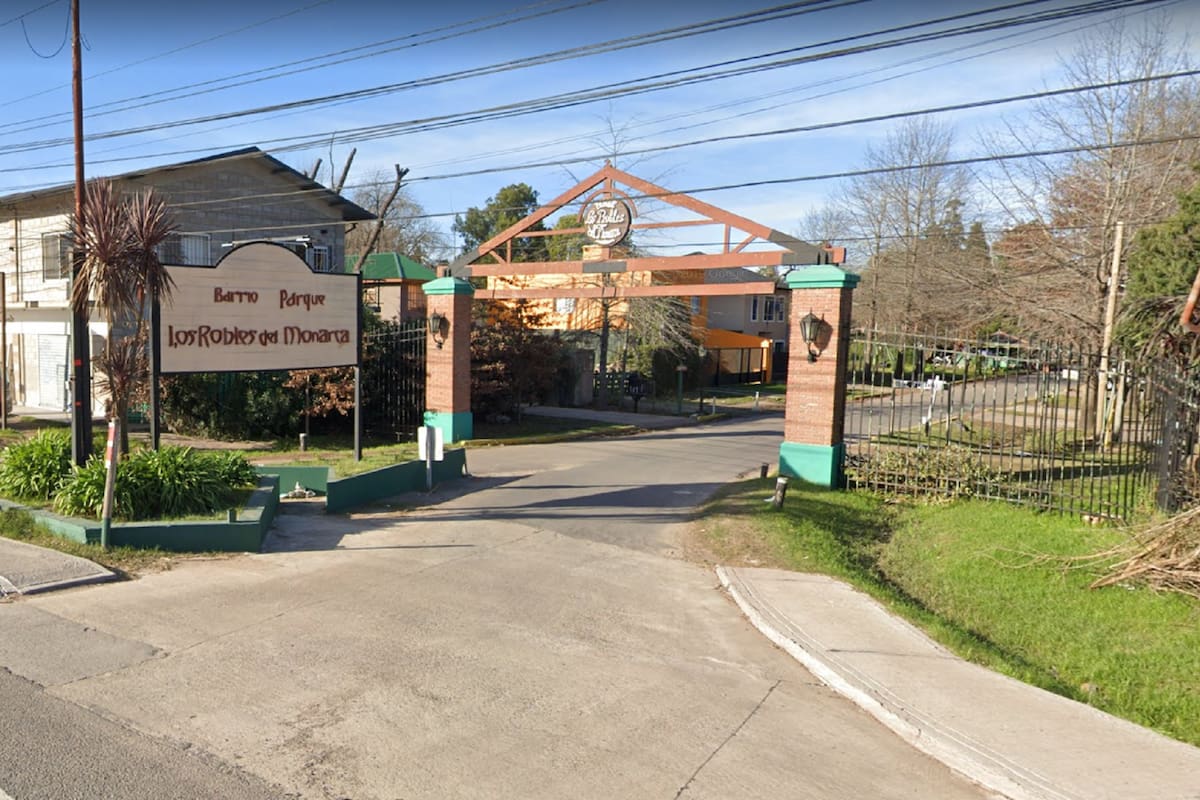 Los Robles del Monarca, en La Lonja