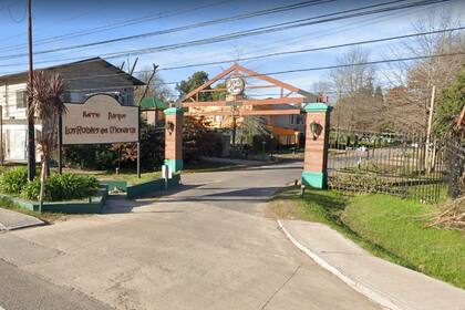 Los Robles del Monarca, en La Lonja