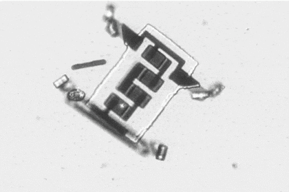 Los robots creados en Cornell se mueven por la energía que reciben de un láser y tienen un grosor de 5 micrones, 40 micrones de ancho y entre 40 y 70 micrones de largo, un tamaño similar a un paramecio