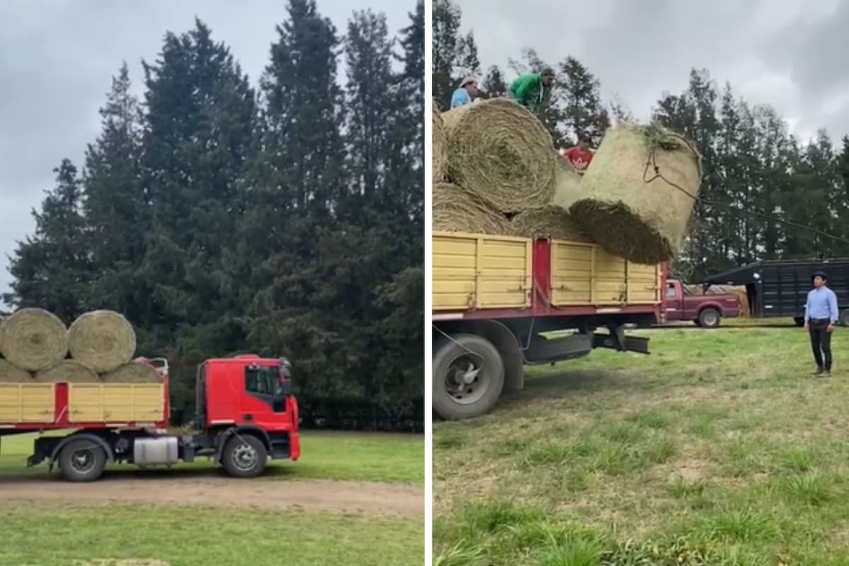 Los rollos de alimento para el ganado que cuestan $102 por kilo