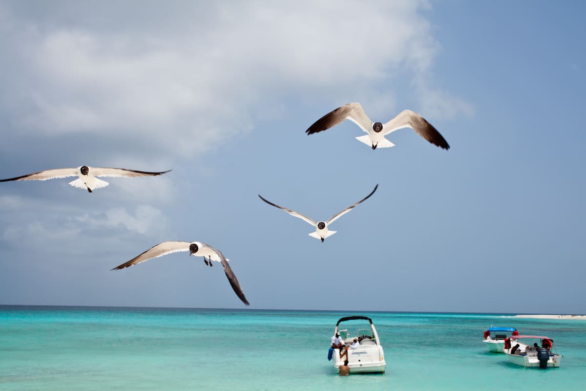 Los Roques, Venezuela.