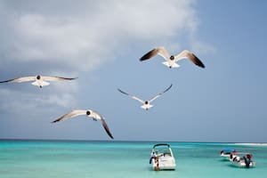 Las 10 mejores playas del Caribe