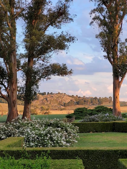 Los rosales y canteros floridos enmarcan los paisajes serranos de Tandil. A pesar de la demanda del hotel, Asunti es quien mantiene ese inmenso jardín.