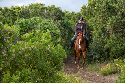 Los safaris florales con un guía por el fynbos pueden hacerse a pie o a caballo.