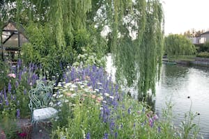 Los sauces sirven de marco entre el jardín y la orilla del lago