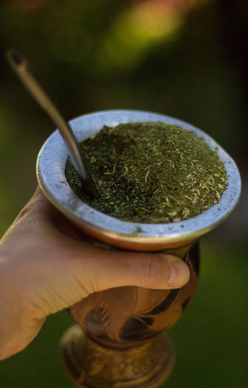 Los secretos del mate