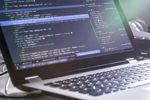 Los sectores del software y servicios concentraron un 42% de las inversiones ángeles