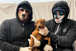 Los secuestradores dispararon un estremecedor consejo a los propietarios de mascotas: “No dejes correr a tu perro por delante tuyo, porque cuando doble la esquina antes que vos, podríamos estar allí”
