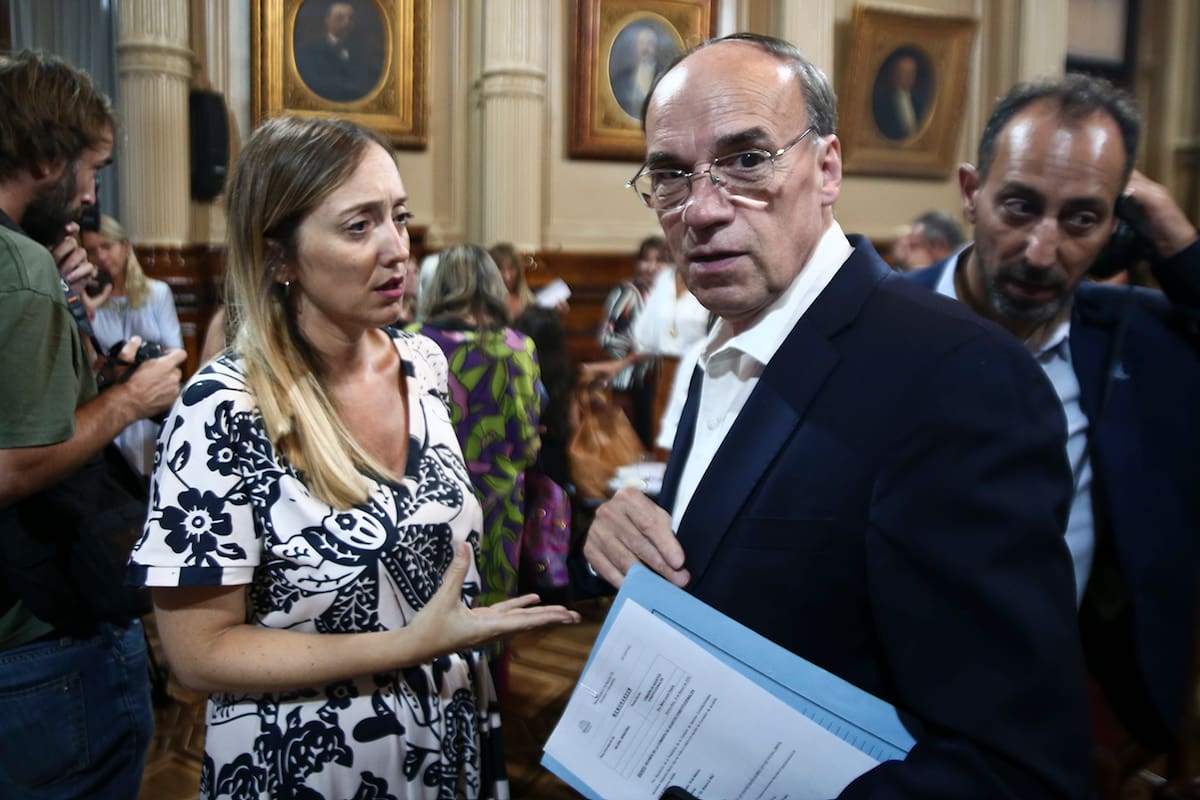 Los senadores Anabel Fernández Sagasti y Pablo Blanco en la comisión por la ficha limpia