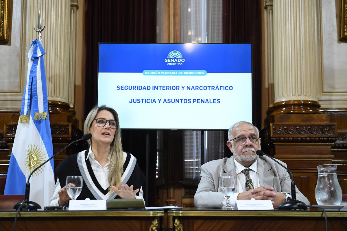 Los senadores Carolina Losada y el presidente de la Comisión de Justicia, Juan Carlos Pagotto