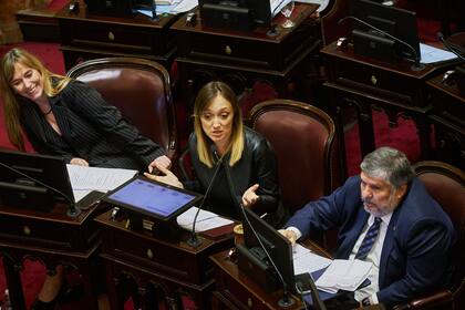 Los senadores de Unión por la Patria publicaron un comunicado contra Milei por las retenciones
