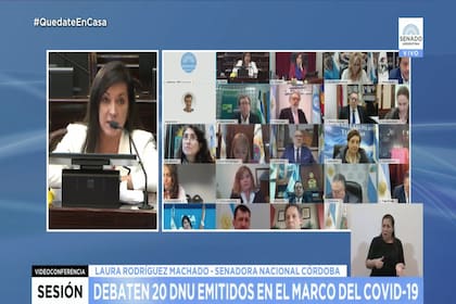 Los senadores en la primera sesión a distancia de la historia argentina