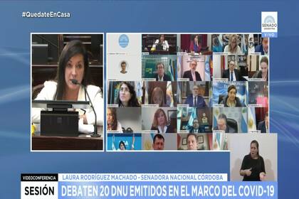 Los senadores en la primera sesión a distancia de la historia argentina