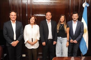 Los senadores Espínola, Vigo, Snopek, Catalfamo y Kueider, hoy en la Cámara alta