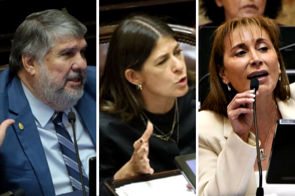 Los senadores José Mayans (Unión por la Patria), Guadalupe Tagliaferri (PRO) y Cristina López (Unidad Ciudadana)