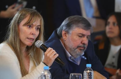 Los senadores Juliana di Tullio y José Mayans