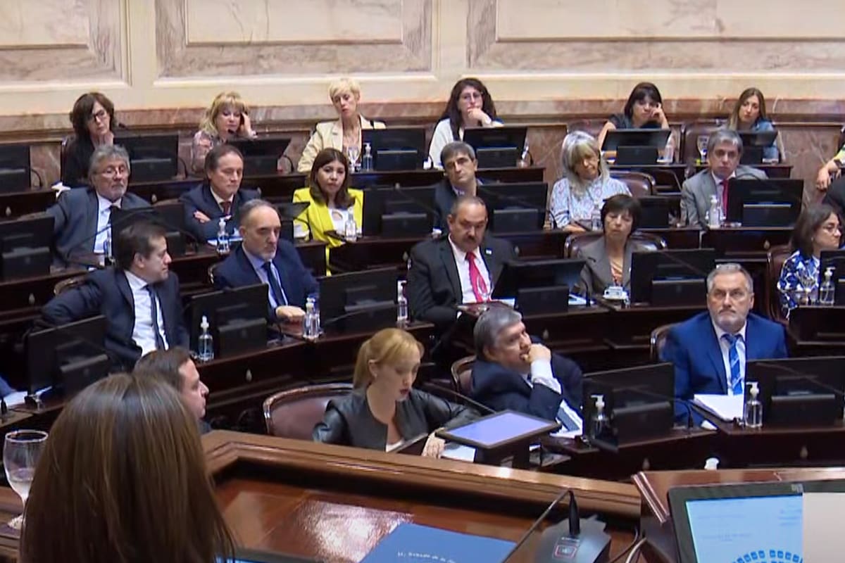 Los senadores kirchneristas, entre ellos Anabel Fernández Sagasti, en la sesión por la Magistratura