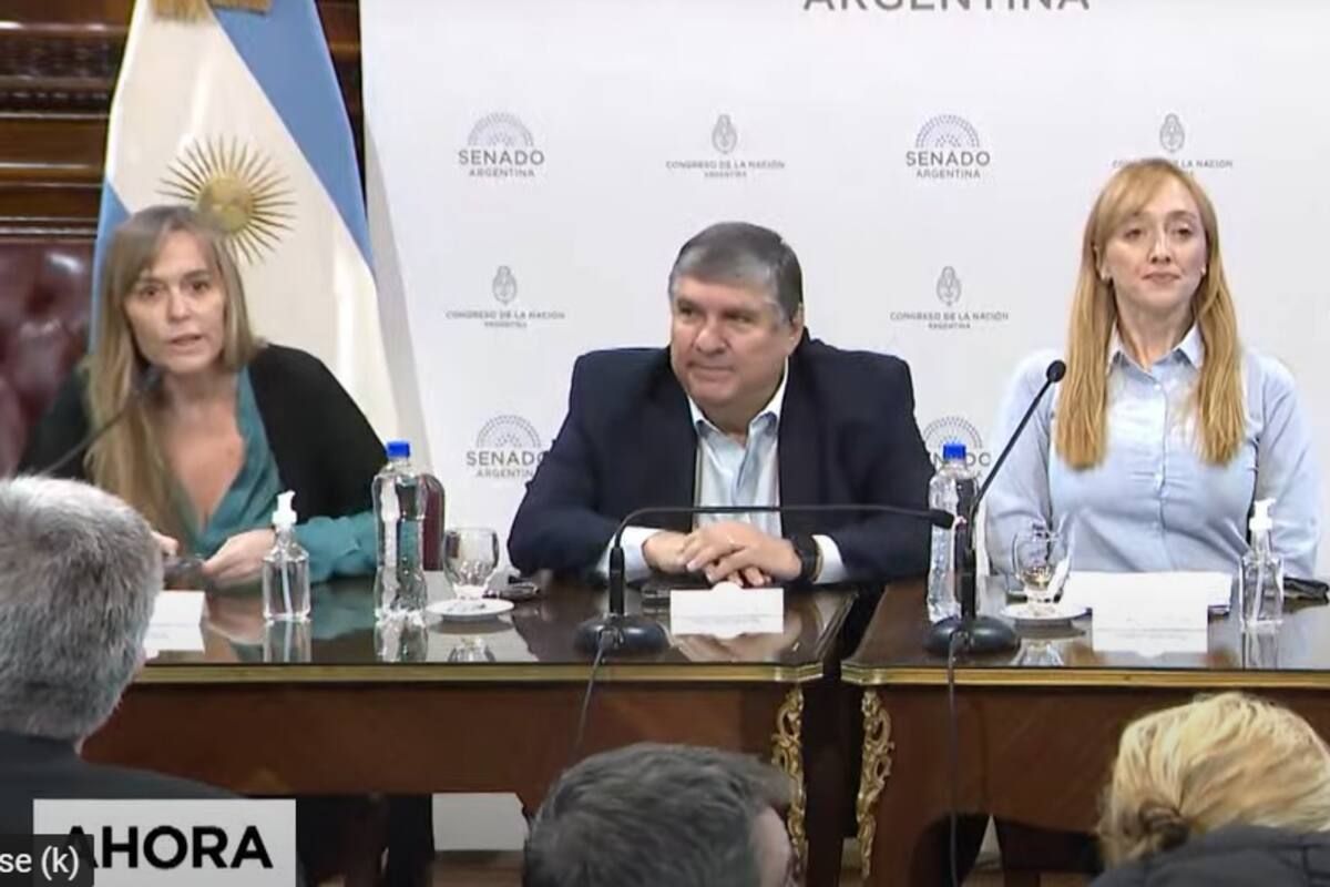Los senadores kirchneristas Juliana Di Tullio, José Mayans, Anabel Fernández Sagasti y Mariano Recalde, al presentar el proyecto de jubilaciones sin aportes