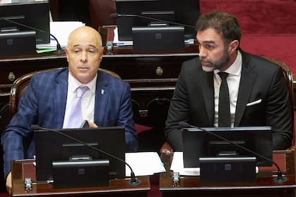Los senadores libertarios Bartolomé Abdala y Ezequiel Atauche